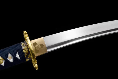 Tanto Seiryū no Kiba